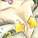 Original066