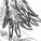Sketch001